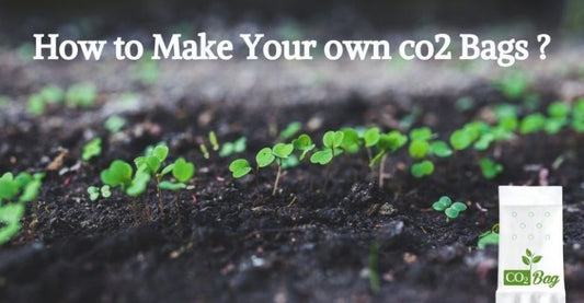 How to make your own Co2 bags – Grow your plants naturally!
