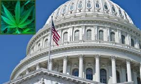 House passes landmark marijuana legalization bill Now up to Senate